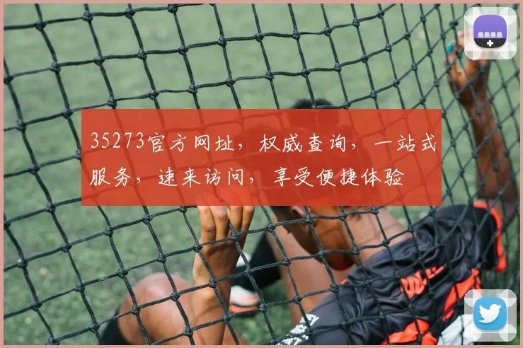 35273官方网址，权威查询，一站式服务，速来访问，享受便捷体验