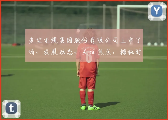 多宝电缆集团股份有限公司上市了吗，发展动态，关注焦点，揭秘时刻，不容错过