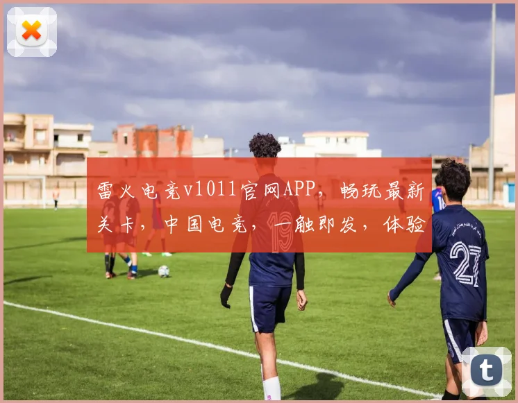 雷火电竞v1011官网APP，畅玩最新关卡，中国电竞，一触即发，体验非凡