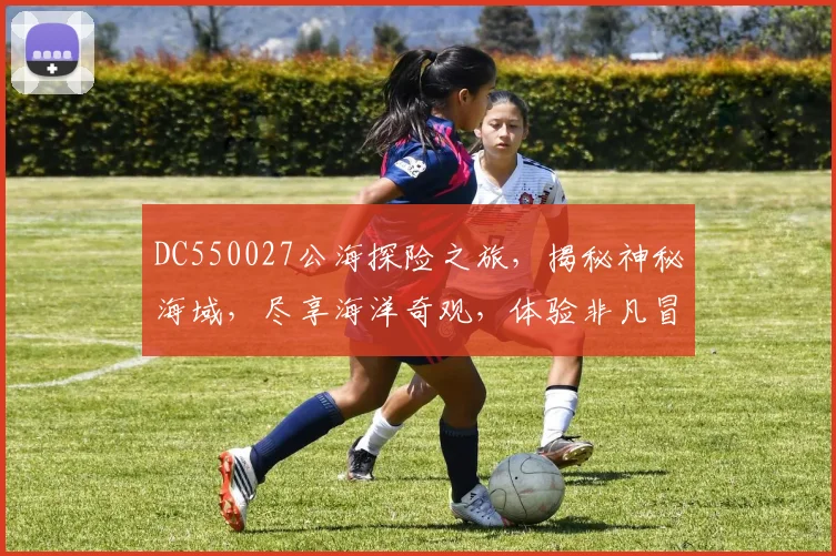 DC550027公海探险之旅，揭秘神秘海域，尽享海洋奇观，体验非凡冒险，不容错过
